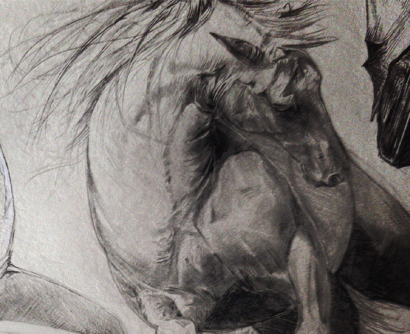 Portfolio 5